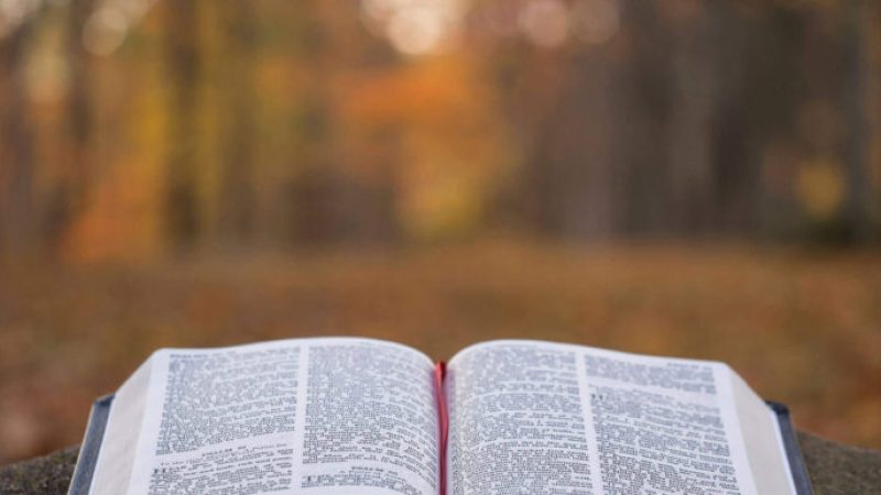 ahnsahnghong in the bible e1596943812956 768x386 1.jpg